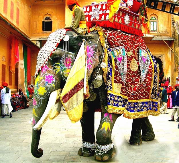 Elephant Festival, Jaipur