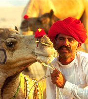 Rajasthan Tour Packages