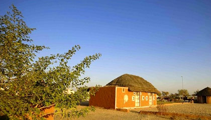 Bishnoi Village Camp and Resort Bishnoi Village Camp and Resort