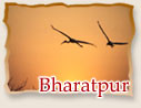 Bharatpur - Rajasthan