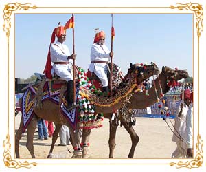 Camel Festival - Bikaner