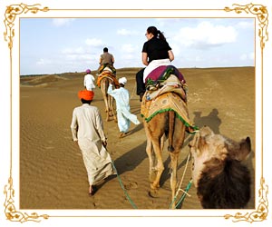 Camel Safari