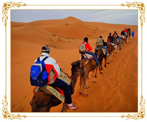 Camel Safari, Jaisalmer