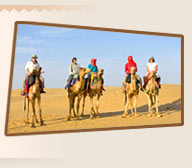 Desert Safari in Rajasthan