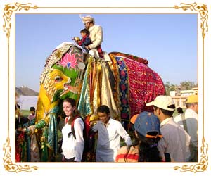 Elephant Festival-Jaipur