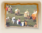 Elephant Festival