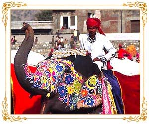 Elephant Festival - Jaipur