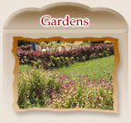Gardens Rajasthan