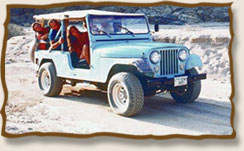 Jeep safaris - Rajasthan