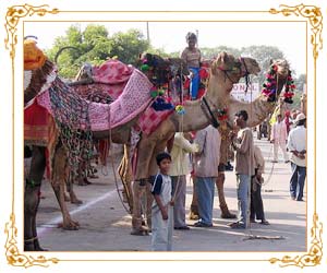 Marwar Festival - Jodhpur