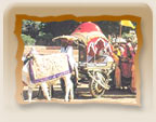 Marwar Festival