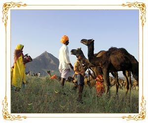 Pushkar - Ajmer