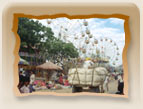 Pushkar Fair