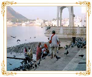 Pushkar Rajasthan