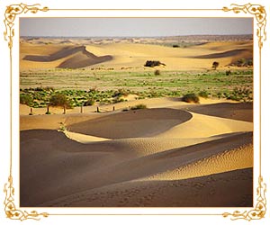 Rajasthan Desert Tour