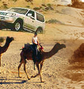Rajasthan Travel Agents