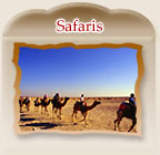 Rajasthan Safaris