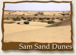 Sam Sand Dunes - Jaisalmer
