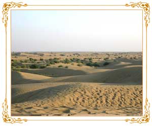 Sand Dunes Rajasthan