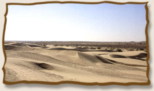 Sand Dunes Rajasthan