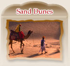 Sand Dunes - Rajasthan