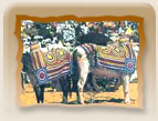 Sheetla Mata Fair