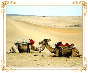 Thar Desert Rajasthan
