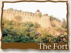 The Fort - Alwar